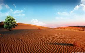 Desert Ecosystem