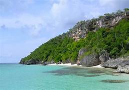 Island Ecosystem