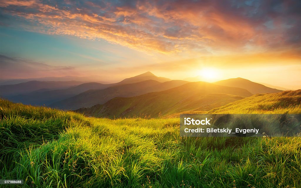 Mountain