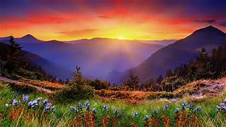 Mountain Ecosystem